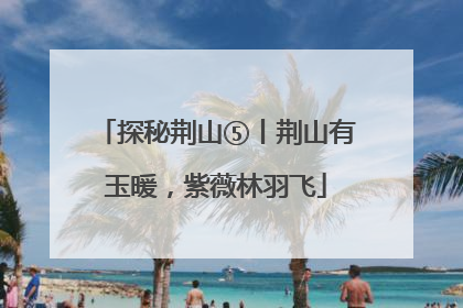 探秘荆山⑤丨荆山有玉暖，紫薇林羽飞