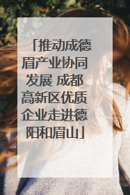 推动成德眉产业协同发展 成都高新区优质企业走进德阳和眉山
