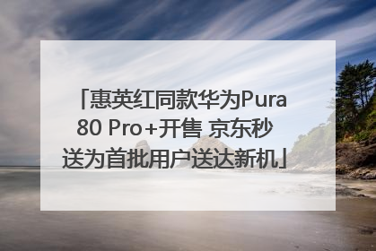 惠英红同款华为Pura 80 Pro+开售 京东秒送为首批用户送达新机