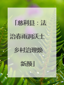 慈利县：法治春雨润沃土 乡村治理焕新颜