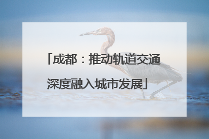 成都：推动轨道交通深度融入城市发展