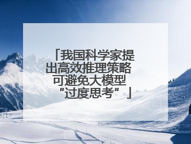 我国科学家提出高效推理策略 可避免大模型“过度思考”