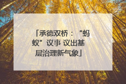 承德双桥：“蚂蚁”议事 议出基层治理新气象