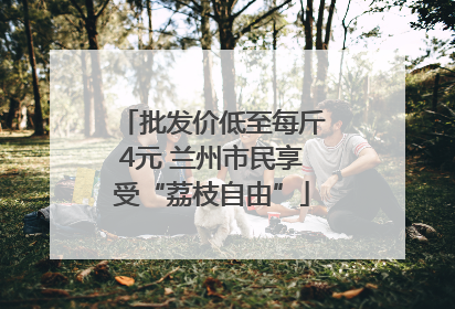 批发价低至每斤4元 兰州市民享受“荔枝自由”