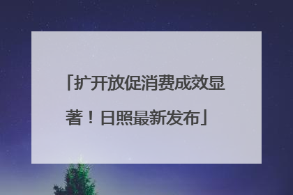 扩开放促消费成效显著！日照最新发布