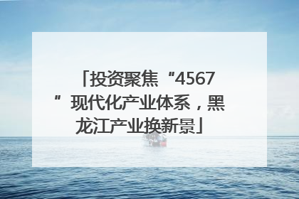 投资聚焦“4567”现代化产业体系，黑龙江产业换新景