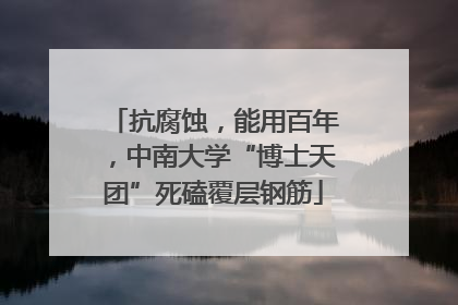 抗腐蚀，能用百年，中南大学“博士天团”死磕覆层钢筋