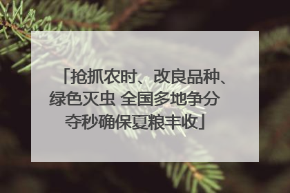 抢抓农时、改良品种、绿色灭虫 全国多地争分夺秒确保夏粮丰收