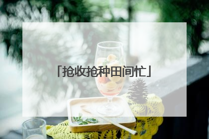 抢收抢种田间忙
