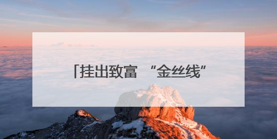 挂出致富 “金丝线” 煮出振兴“好味道”