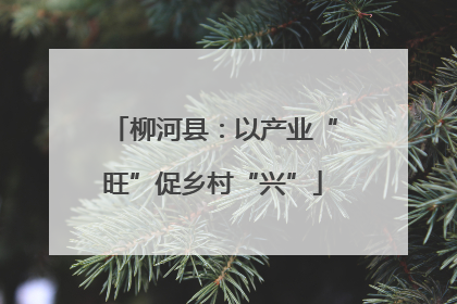 柳河县：以产业“旺”促乡村“兴”