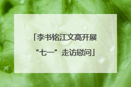 李书铭江文高开展“七一”走访慰问