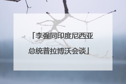 李强同印度尼西亚总统普拉博沃会谈