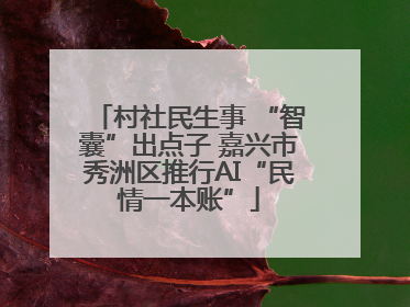 村社民生事 “智囊”出点子 嘉兴市秀洲区推行AI“民情一本账”