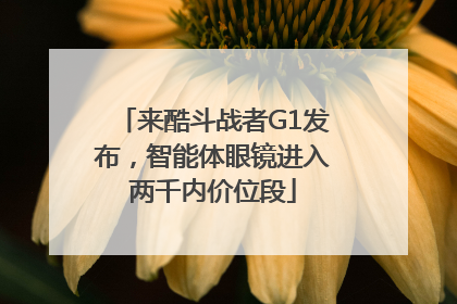 来酷斗战者G1发布，智能体眼镜进入两千内价位段