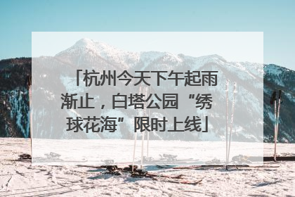 杭州今天下午起雨渐止，白塔公园“绣球花海”限时上线