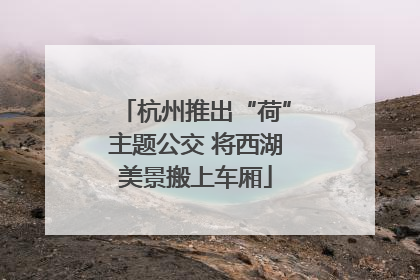 杭州推出“荷”主题公交 将西湖美景搬上车厢