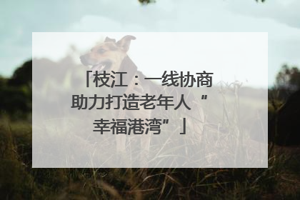 枝江：一线协商助力打造老年人“幸福港湾”