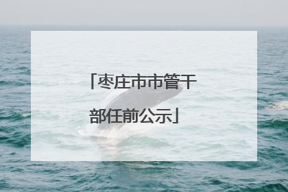 枣庄市市管干部任前公示