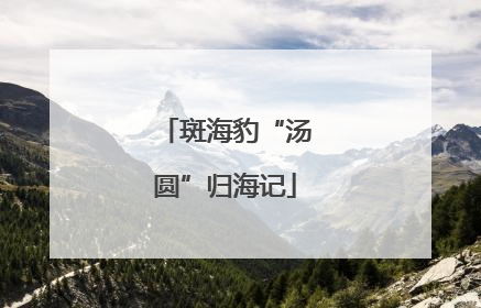 斑海豹“汤圆”归海记