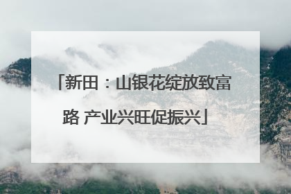 新田：山银花绽放致富路 产业兴旺促振兴