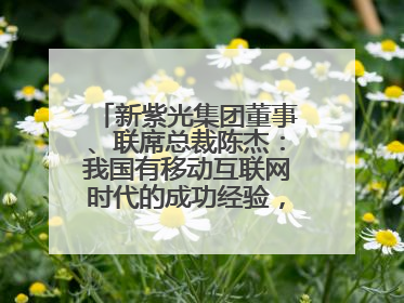 新紫光集团董事、联席总裁陈杰：我国有移动互联网时代的成功经验，最有能力做好AI应用创新