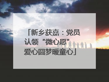 新乡获嘉：党员认领“微心愿” 爱心圆梦暖童心