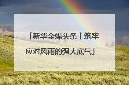 新华全媒头条丨筑牢应对风雨的强大底气