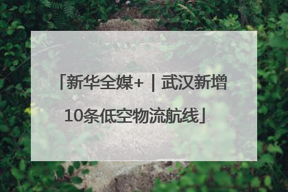 新华全媒+｜武汉新增10条低空物流航线