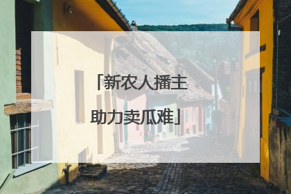 新农人播主 助力卖瓜难