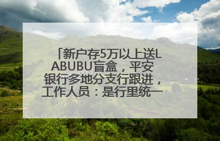 新户存5万以上送LABUBU盲盒，平安银行多地分支行跟进，工作人员：是行里统一的，进货渠道不清楚
