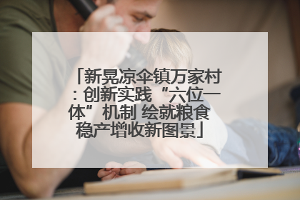 新晃凉伞镇万家村：创新实践“六位一体”机制 绘就粮食稳产增收新图景