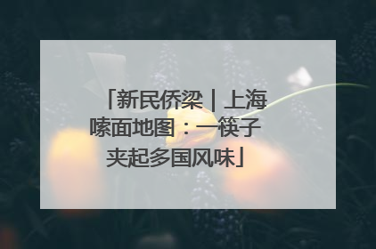 新民侨梁｜上海嗦面地图：一筷子夹起多国风味