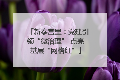 新泰宫里：党建引领“微治理” 点亮基层“网格红”