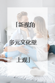 新视角 多元文化壁上观