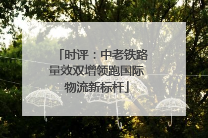 时评：中老铁路量效双增领跑国际物流新标杆