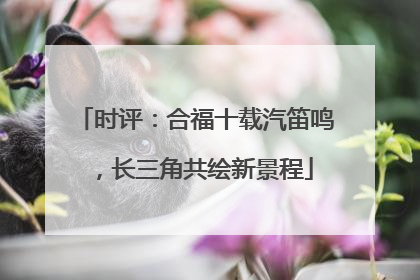 时评：合福十载汽笛鸣，长三角共绘新景程