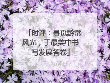 时评：寻觅黔常风光，于最美中书写发展答卷