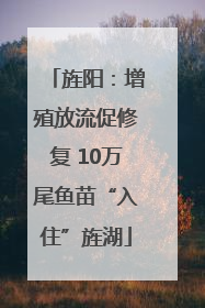 旌阳：增殖放流促修复 10万尾鱼苗“入住”旌湖