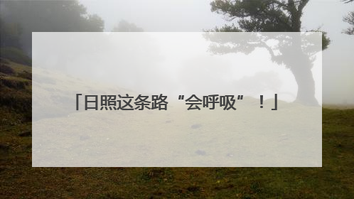 日照这条路“会呼吸”！