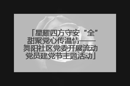 星耀四方守安“全” 甜聚党心传温情——舞阳社区党委开展流动党员建党节主题活动