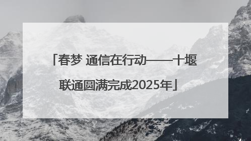 春梦 通信在行动——十堰联通圆满完成2025年