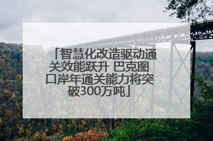 智慧化改造驱动通关效能跃升 巴克图口岸年通关能力将突破300万吨