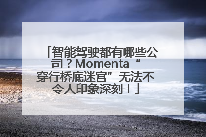 智能驾驶都有哪些公司？Momenta“穿行桥底迷宫”无法不令人印象深刻！