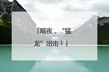 暗夜，“猛龙”出击！