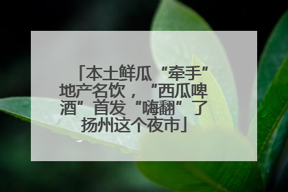 本土鲜瓜“牵手”地产名饮，“西瓜啤酒”首发“嗨翻”了扬州这个夜市