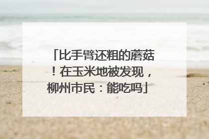 比手臂还粗的蘑菇！在玉米地被发现，柳州市民：能吃吗