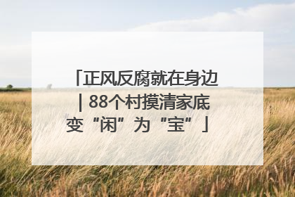 正风反腐就在身边｜88个村摸清家底变“闲”为“宝”