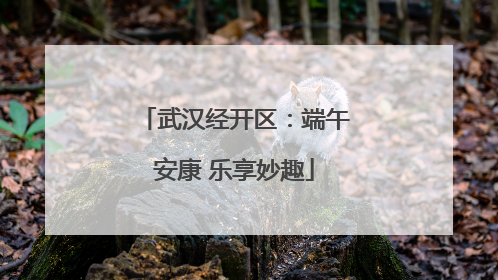 武汉经开区：端午安康 乐享妙趣