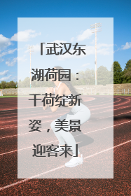 武汉东湖荷园：千荷绽新姿，美景迎客来